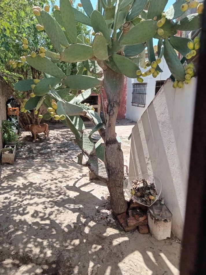 CASA EN VENTA EN JOSE C PAZ